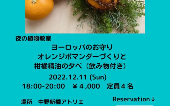 12月11日「夜の植物教室 ヨーロッパのお守りオレンジポマンダー作りと柑橘精油の夕べ」fu-sou 中野新サロン