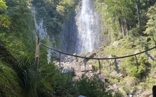 和歌山の旅 2026.4月その1　那智の滝～熊野速玉大社